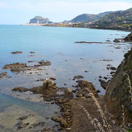 Royal Bay